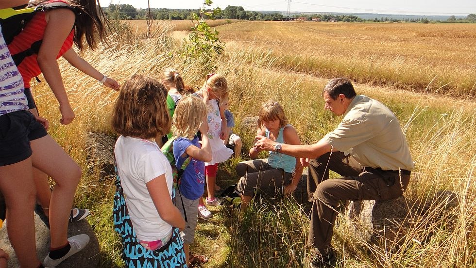 Wanderung mit dem Naturparkranger // © Kinder- und Jugendhotel Verchen Wanderung mit dem Naturparkranger // © Kinder- und Jugendhotel Verchen