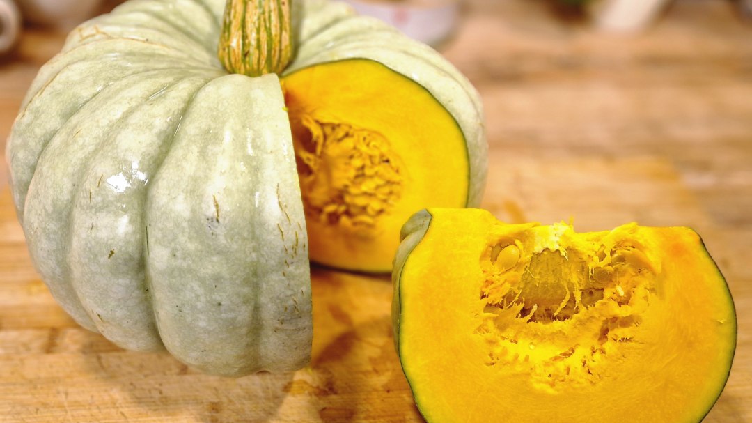 Bekannte & unbekannte Kürbisse: Moschuskürbis, © B. Siebenbürgen Bekannte & unbekannte Kürbisse: Moschuskürbis, © B. Siebenbürgen