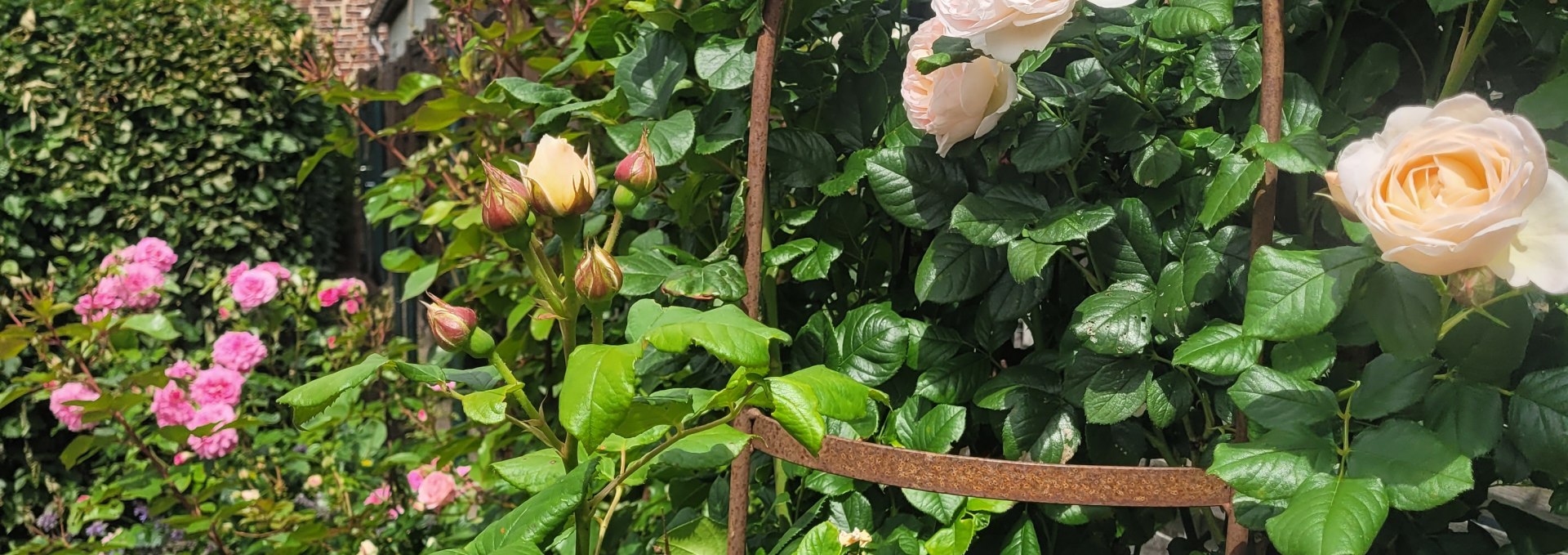 St. Jürgen und Garten, © Hans-Joachim Meusel St. Jürgen und Garten, © Hans-Joachim Meusel