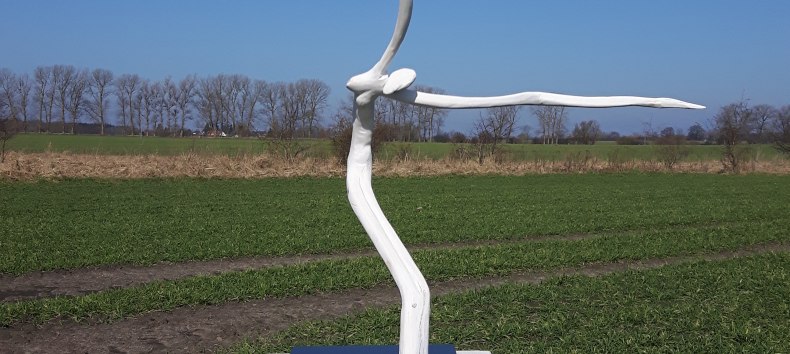 &copy; burghardt siperko