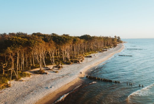 Das Ostseeheilbad Graal-M&uuml;ritz liegt sch&ouml;n eingebettet zwischen ausgedehnten Sandstr&auml;nden, kilometerlangen K&uuml;stenw&auml;ldern und der Rostocker Heide. // &copy; MV-T/Friedrich