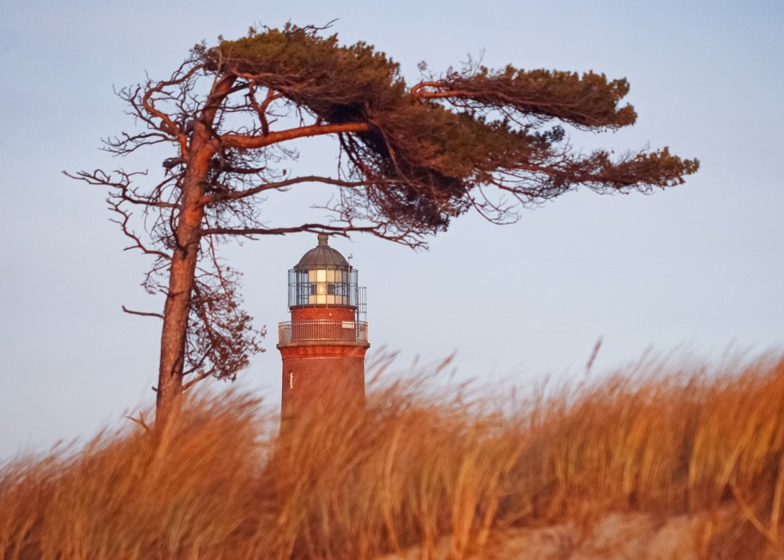 Den Dar&szlig;er Weststrand schm&uuml;ckt ein Leuchtturm, der Teil des NATUREUMs ist. // &copy; Anke Neumeister/Deutsches Meeresmuseum