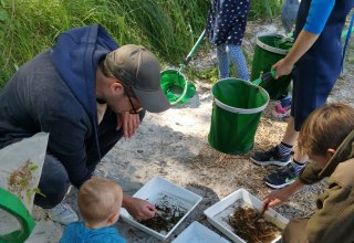 &copy; W. D&ouml;bbert