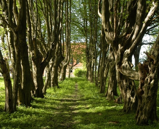 Waldpark Hessenburg // &copy; Hessenburg