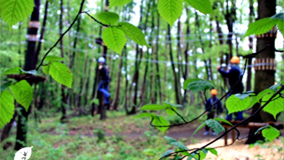 &copy; Schweriner Kletterwald