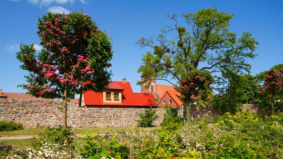 Die einstige Stadtmauer von Pasewalk konnte bis heute noch gr&ouml;&szlig;tenteils erhalten werden // &copy; Torsten Kr&uuml;ger