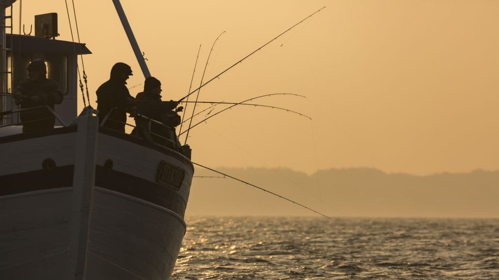 Raus geht es mit dem Kutter - Hochseeangeln auf Dorsch und Plattfisch // &copy; MV-T/L&auml;ufer