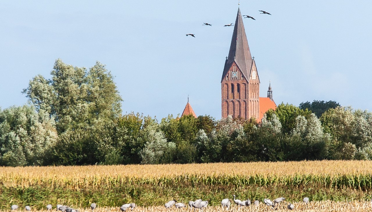 Felder zwichen Barthe und Fliegerhorst, © Arndt Gläser Felder zwichen Barthe und Fliegerhorst, © Arndt Gläser