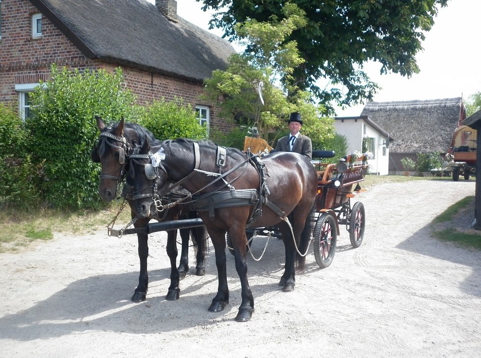 Een koetsrit is een bijzondere ervaring voor het hele gezin., © Juliana Völkner Een koetsrit is een bijzondere ervaring voor het hele gezin., © Juliana Völkner