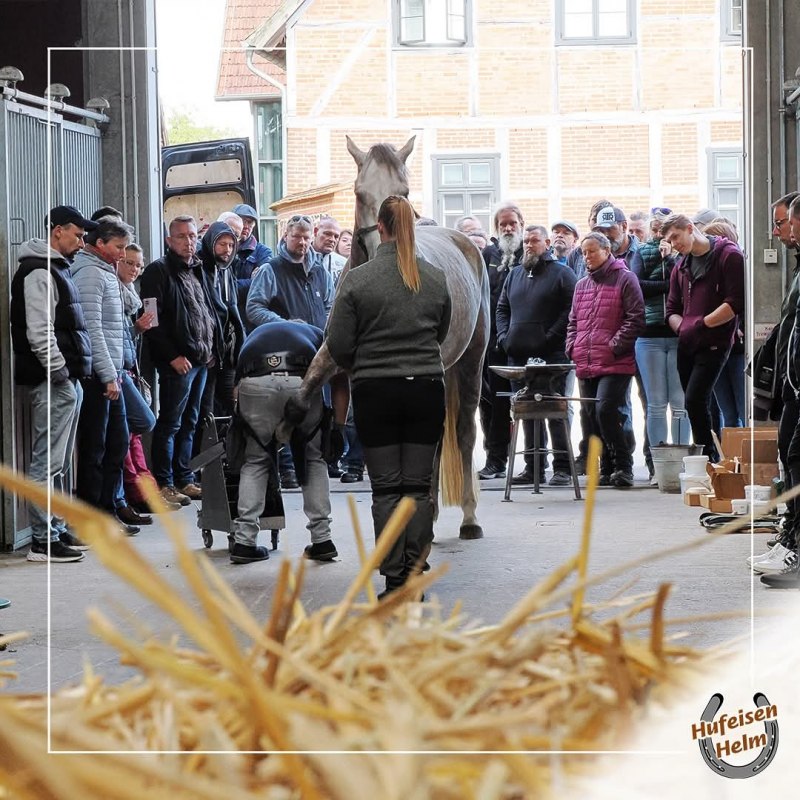 &copy; Hufbeschlag Helm