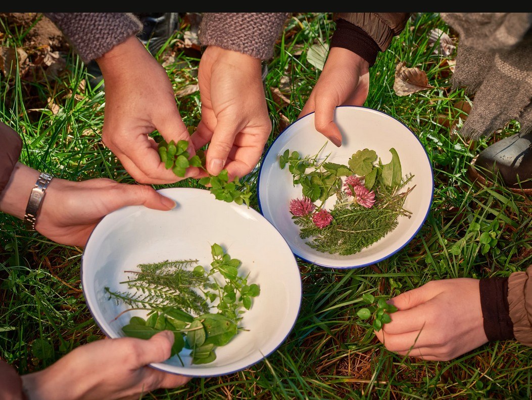 &copy; MV-T/Pocha.de