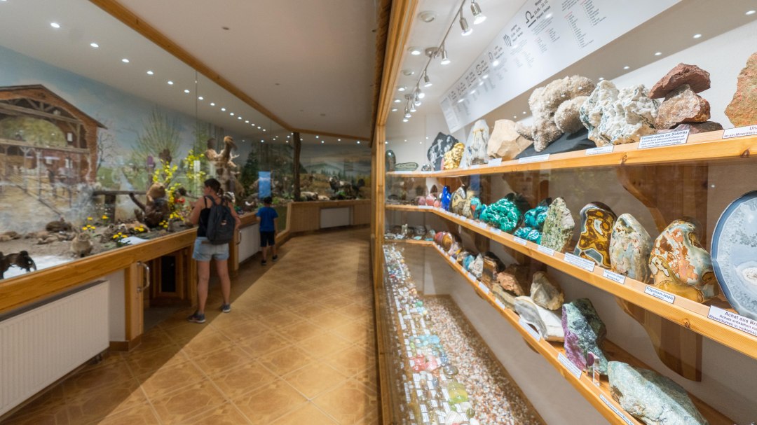 Natur-Schatzkammer, © Moritz Kertzscher Natur-Schatzkammer, © Moritz Kertzscher