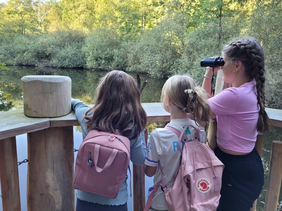 Pad naar de heide op het bosleerpad in Teterow, &copy; Julia Gnodtke