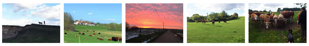 Thomas Hof, © Thomas Hof Thomas Hof, © Thomas Hof