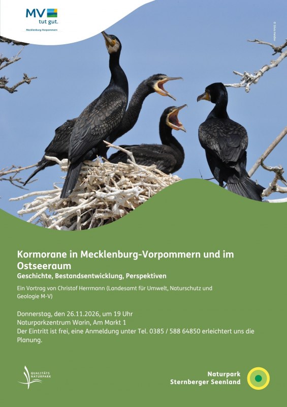 Affiche lezing over aalscholvers // © Naturpark Sternberger Seenland Affiche lezing over aalscholvers // © Naturpark Sternberger Seenland