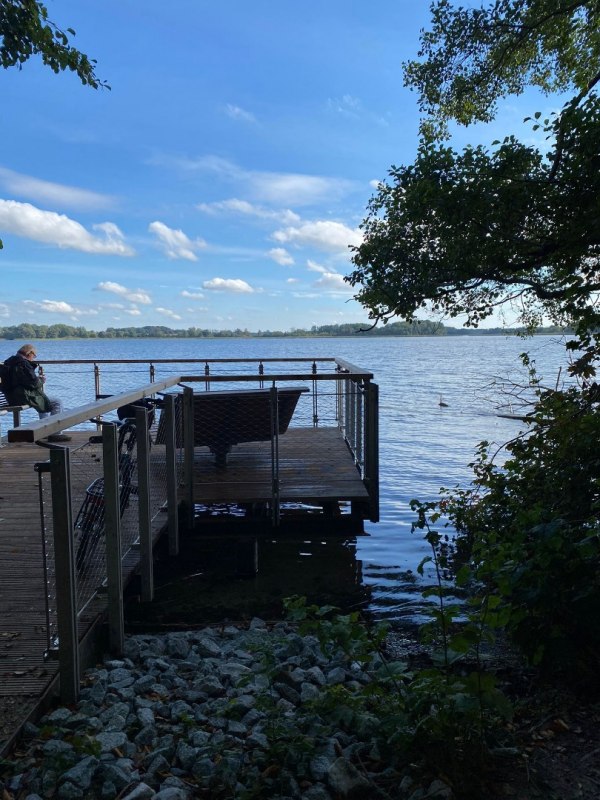 Steg Himmelsblick im Kurwald // &copy; Silke Naumann