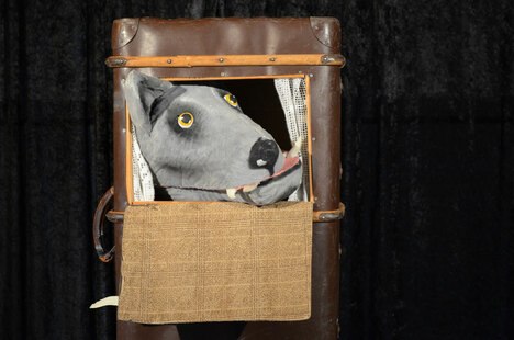 © Schnuppe © Schnuppe