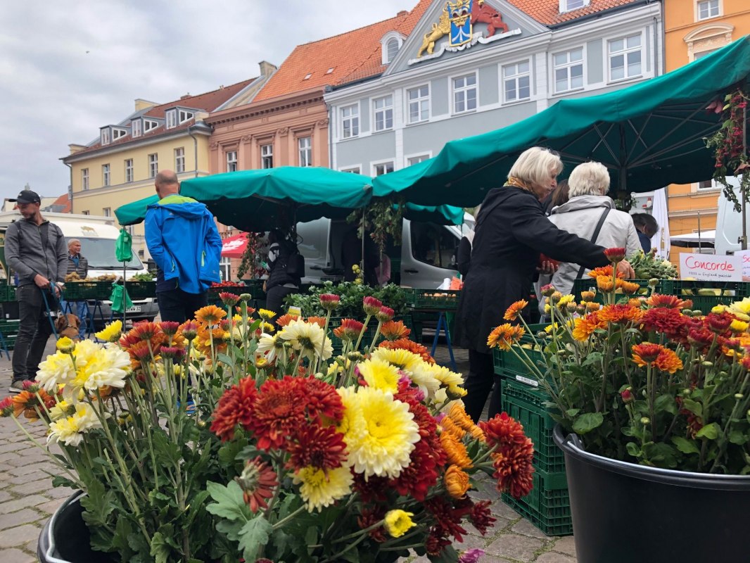 © Hansestadt Stralsund © Hansestadt Stralsund