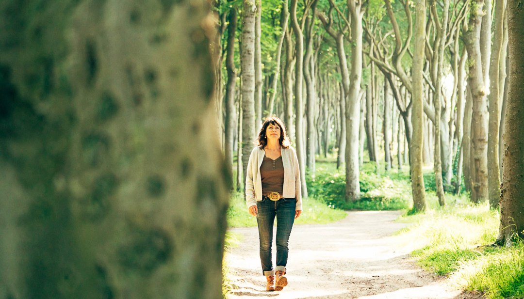 Ein Spaziergang durch den Gespensterwald lässt den Alltagsstress abfallen, © TMV/H2F Ein Spaziergang durch den Gespensterwald lässt den Alltagsstress abfallen, © TMV/H2F