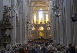 &copy; Geert Maciejewski