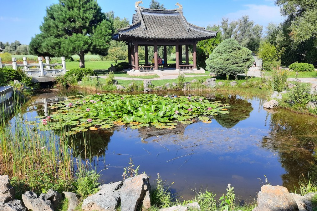 eigenes Foto, &copy; eigenes Foto