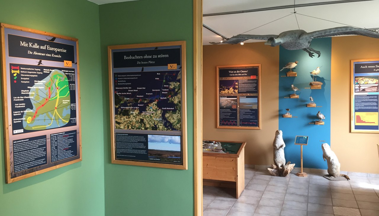 Nationalparkausstellung Sundische Wiese, © Nationalparkamt Vorpommern