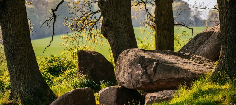 &copy; Binzer Bucht Tourismus