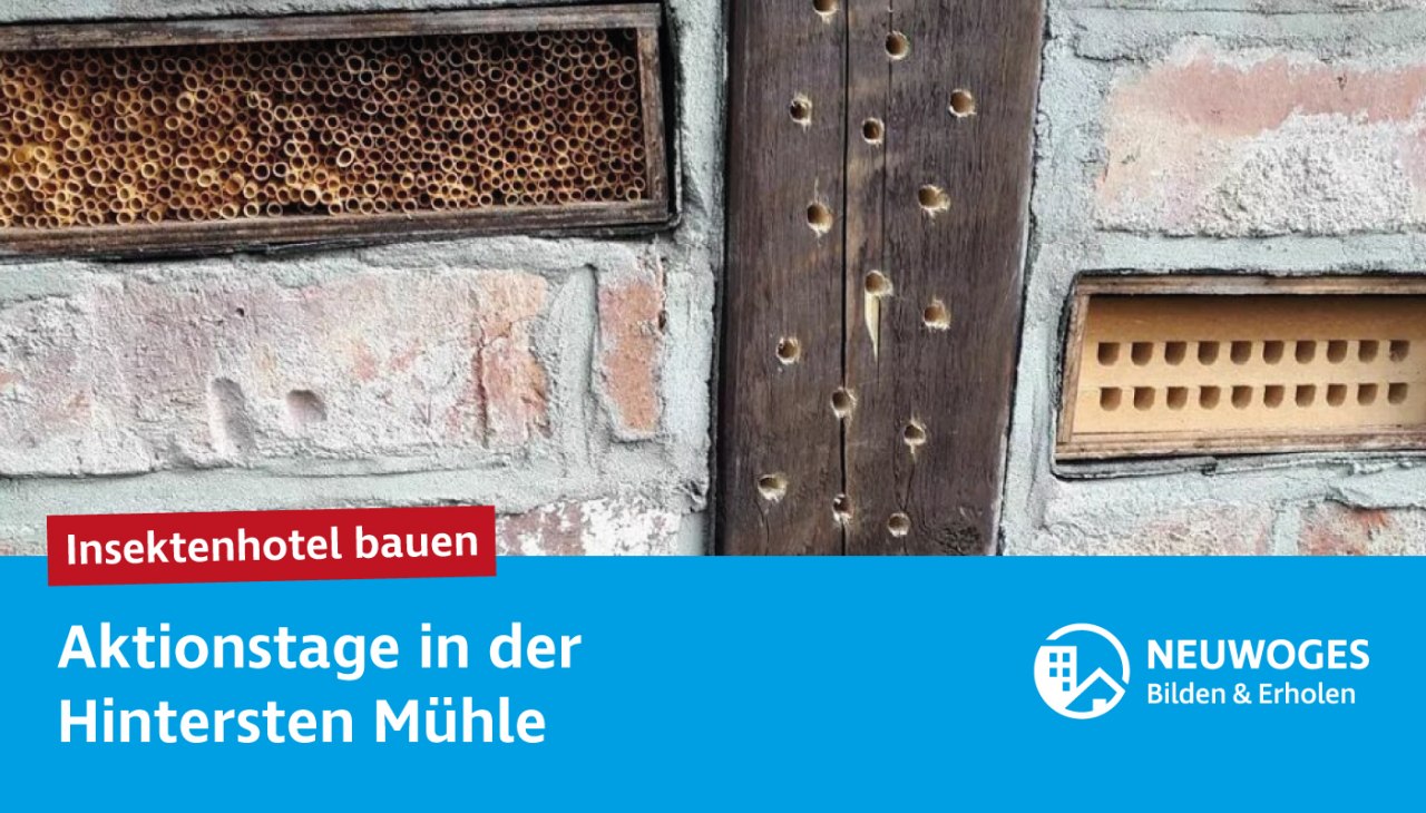 nwg-soc-med_2025_hinterste-mühle_aktionstage-e, © NEUWOGES nwg-soc-med_2025_hinterste-mühle_aktionstage-e, © NEUWOGES