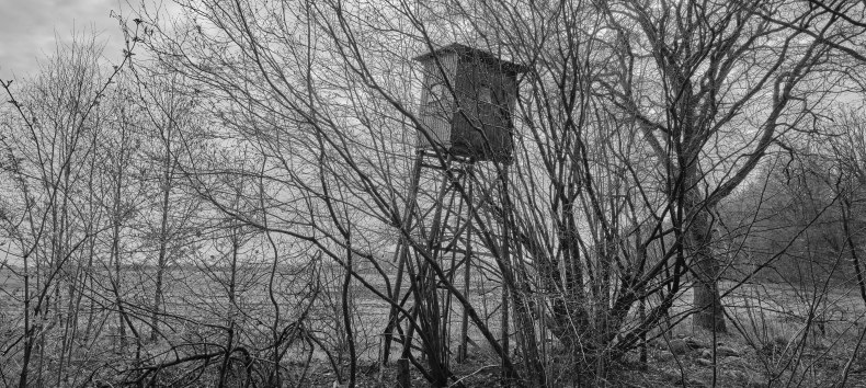 &copy; Richard Barnes 2023