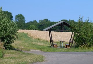 Idyllisch an einem Feld gelegen - Natur pur // &copy; Ummanz-Information/Bordych