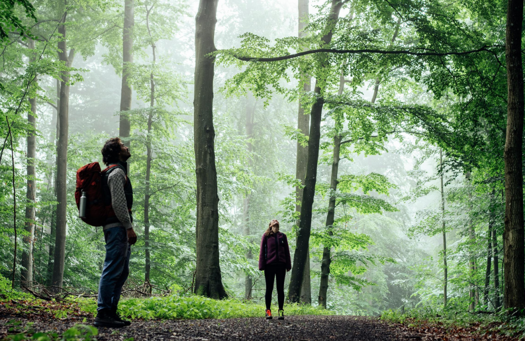 Mecklenburgische Schweiz, © Felix Gänsicke/TMV Mecklenburgische Schweiz, © Felix Gänsicke/TMV