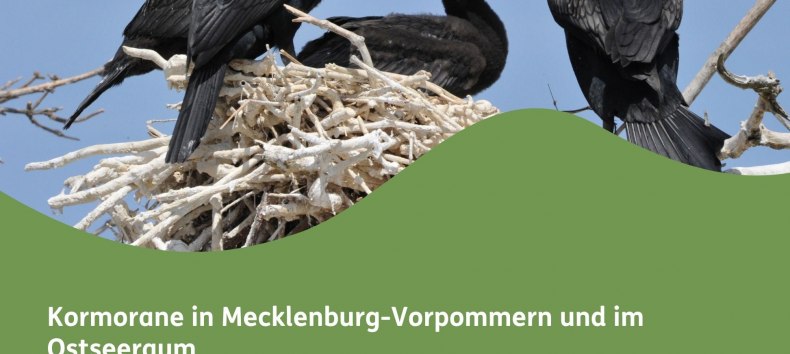Plakat Kormoranvortrag // © Naturpark Sternberger Seenland Plakat Kormoranvortrag // © Naturpark Sternberger Seenland