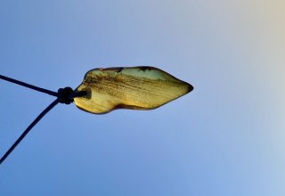 © Bernstein © Bernstein