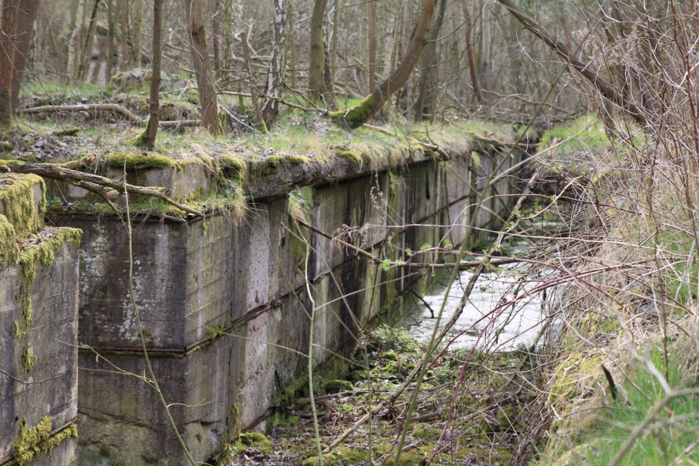 Ruine der ehemaligen Hydrierwerke, © Pomorze Zachodnie