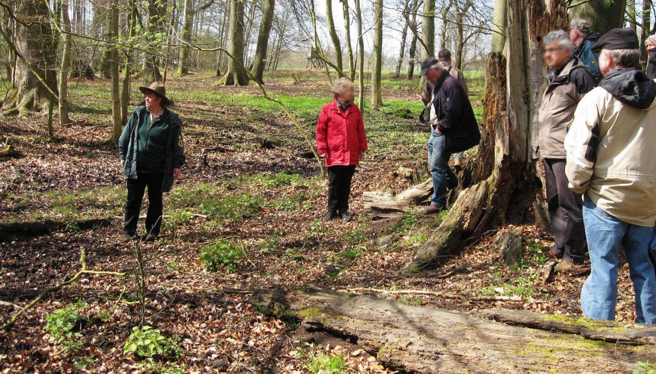 Ranger_Colell_Fuehrung_Feldgehoelze_BRA, © Biosphärenreservat Schaalsee-Elbe Ranger_Colell_Fuehrung_Feldgehoelze_BRA, © Biosphärenreservat Schaalsee-Elbe