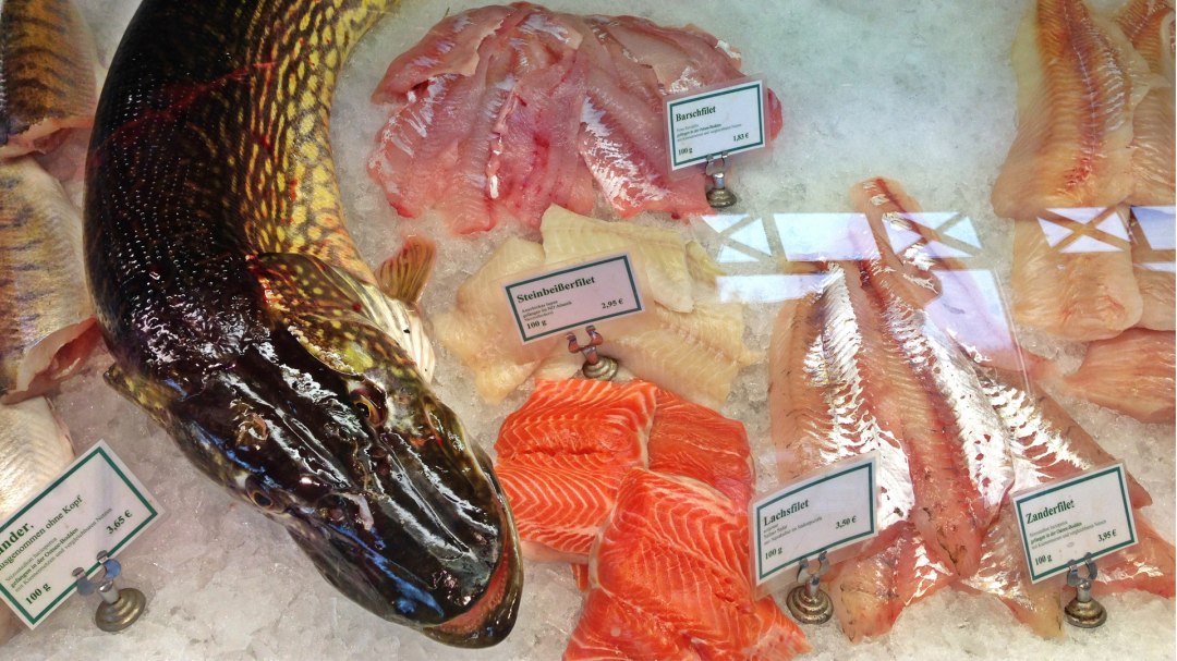 Fischkaten im Ostseebad Ahrenshoop, © Marie Klus Fischkaten im Ostseebad Ahrenshoop, © Marie Klus