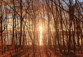 © Kurverwaltung Goehren / Martin Stoever © Kurverwaltung Goehren / Martin Stoever