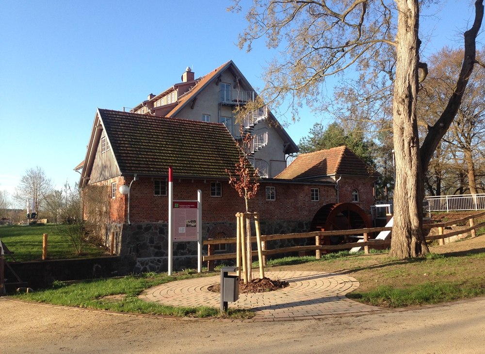 Wasserschaurad und M&uuml;hlenflies an der Bolter M&uuml;hle, &copy; TDG Rechlin mbH