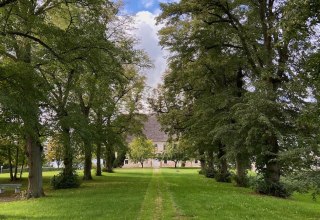Historische Allee Gut Dahlen // © Felix Garten Giuliana Martinez Historische Allee Gut Dahlen // © Felix Garten Giuliana Martinez