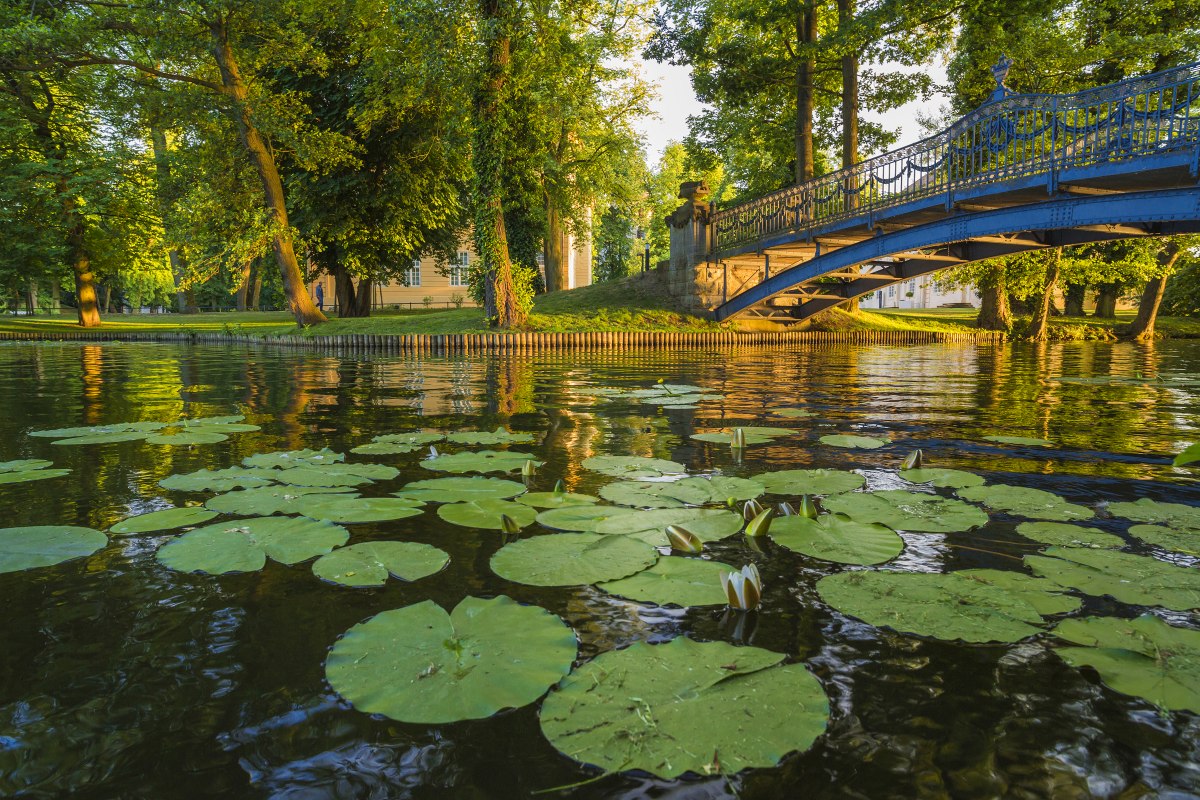 Im Schlosspark Mirow // © SSGK M-V / Timm Allrich Im Schlosspark Mirow // © SSGK M-V / Timm Allrich