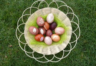 Mit Pflanzen und Pflanzenteilen gef&auml;rbte Eier. // &copy; LAKD M-V