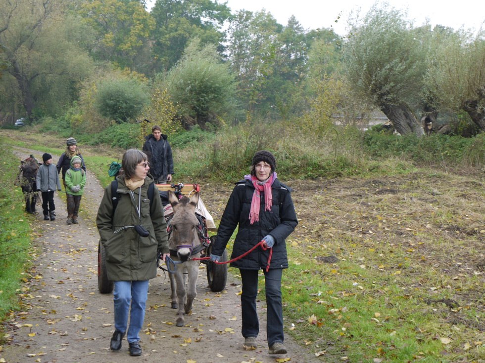 Onze dieren houden van wandelen, zelfs in de winter // &copy; Gerhard Mersch
