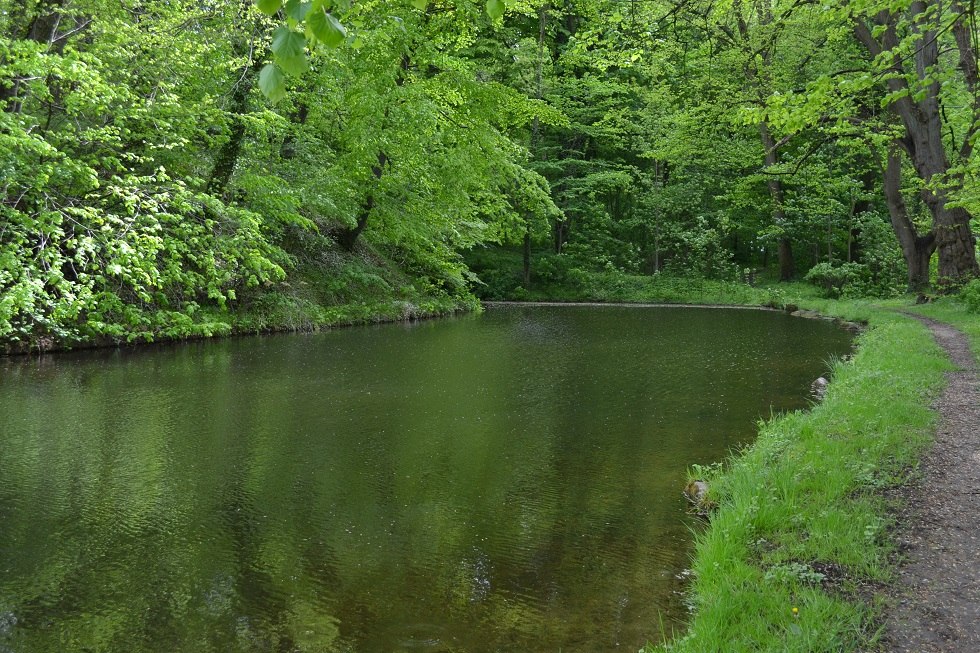 Wanderweg und Wassergraben am Turmhügel. // © Lutz Werner Wanderweg und Wassergraben am Turmhügel. // © Lutz Werner