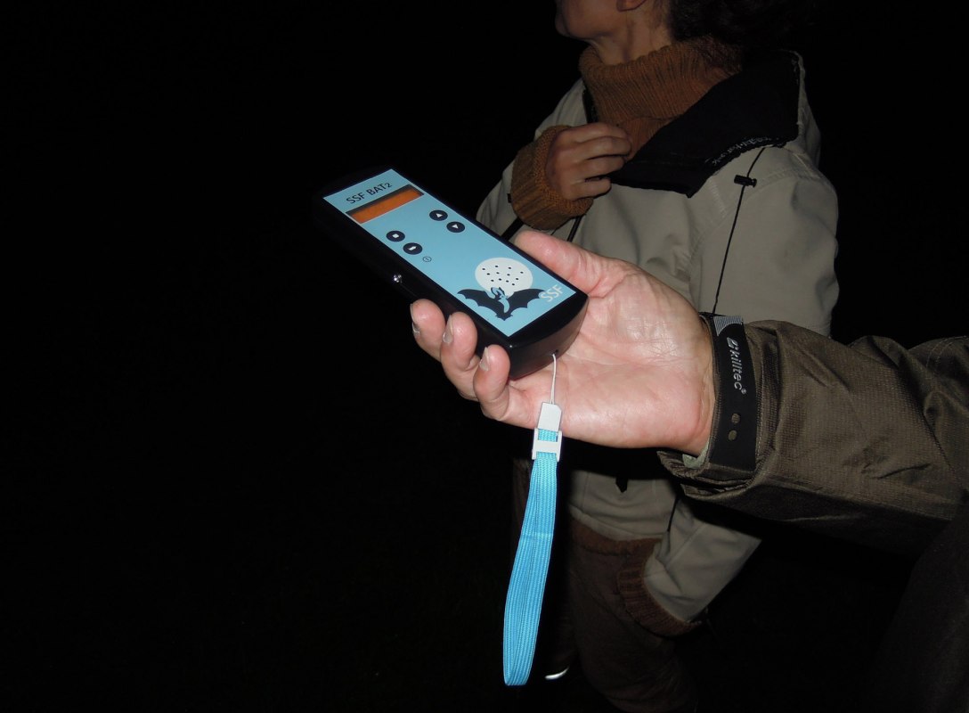 Fledermausdetektor, &copy; D. Foitlaenger