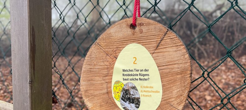 &copy; Nationalpark-Zentrum K&Ouml;NIGSSTUHL