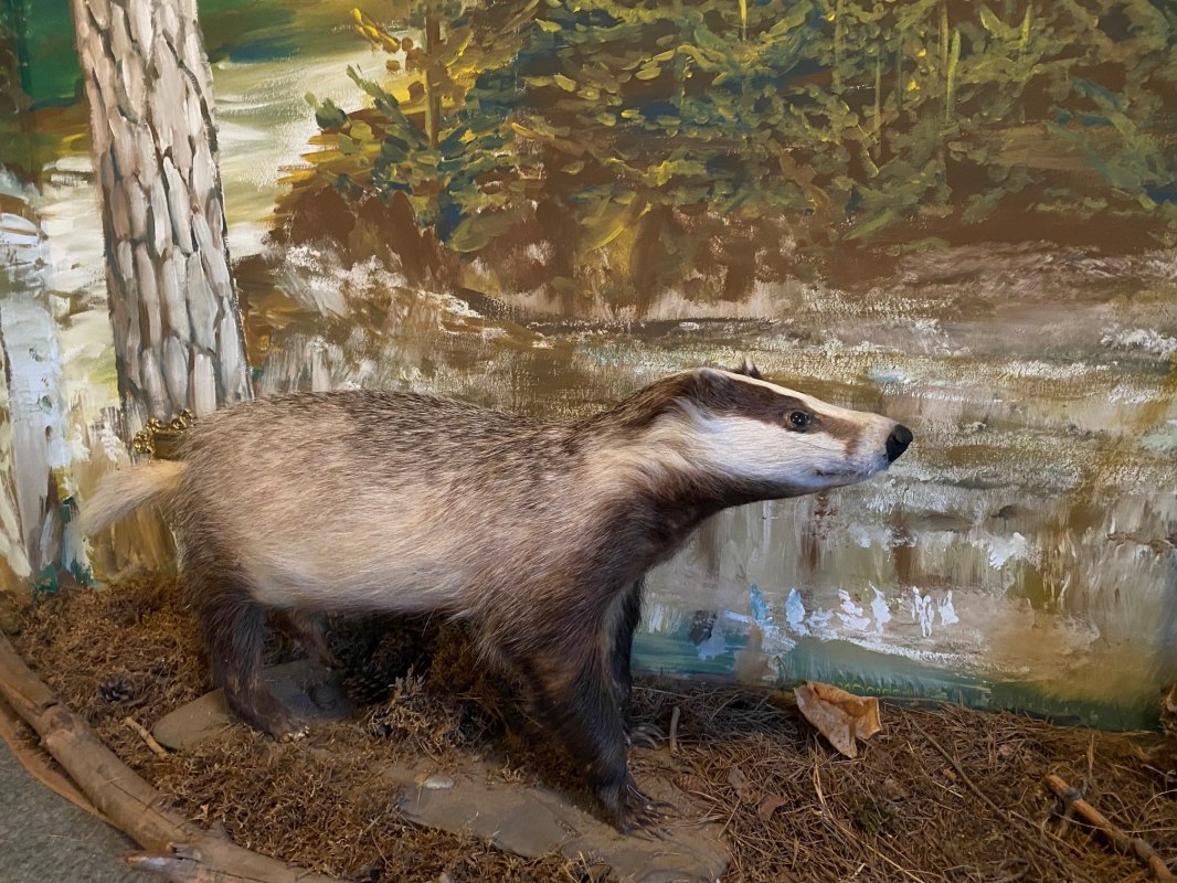 &copy; Amt Mecklenburgische Kleinseenplatte