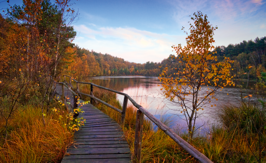 M&uuml;ritz Nationalpark, &copy; TMV/Allrich