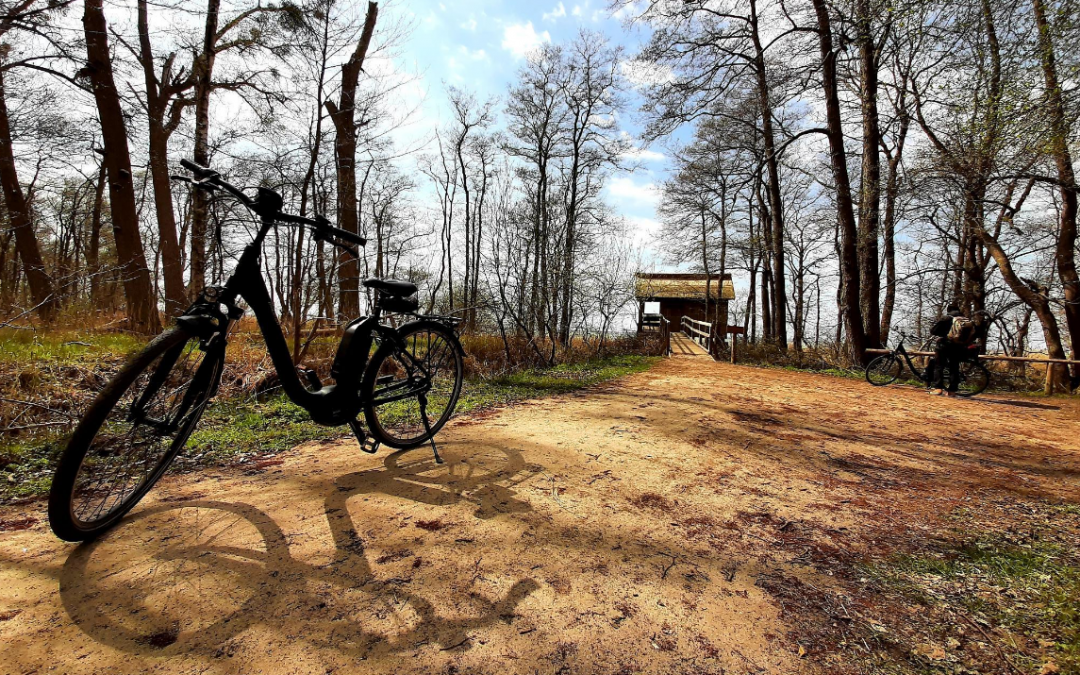 E-Bike Tour- Sch&ouml;ne Aussichten im M&uuml;ritz Nationalpark, &copy; Stadt Neustrelitz