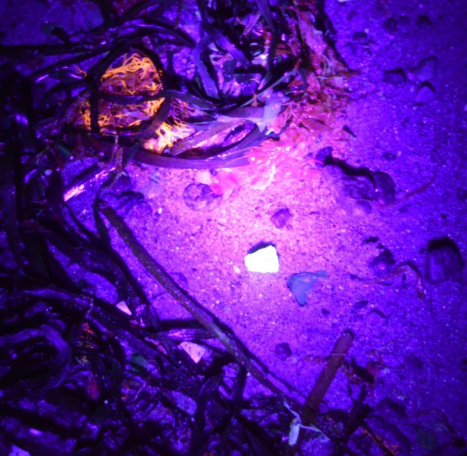 &copy; GeoPark Nordisches Steinreich