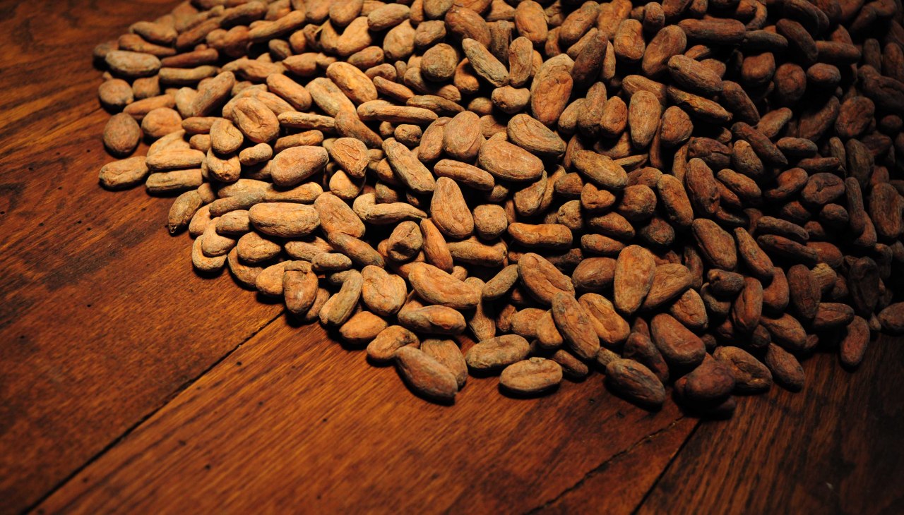 Cacaobonen, © Kilian&Close Cacaobonen, © Kilian&Close